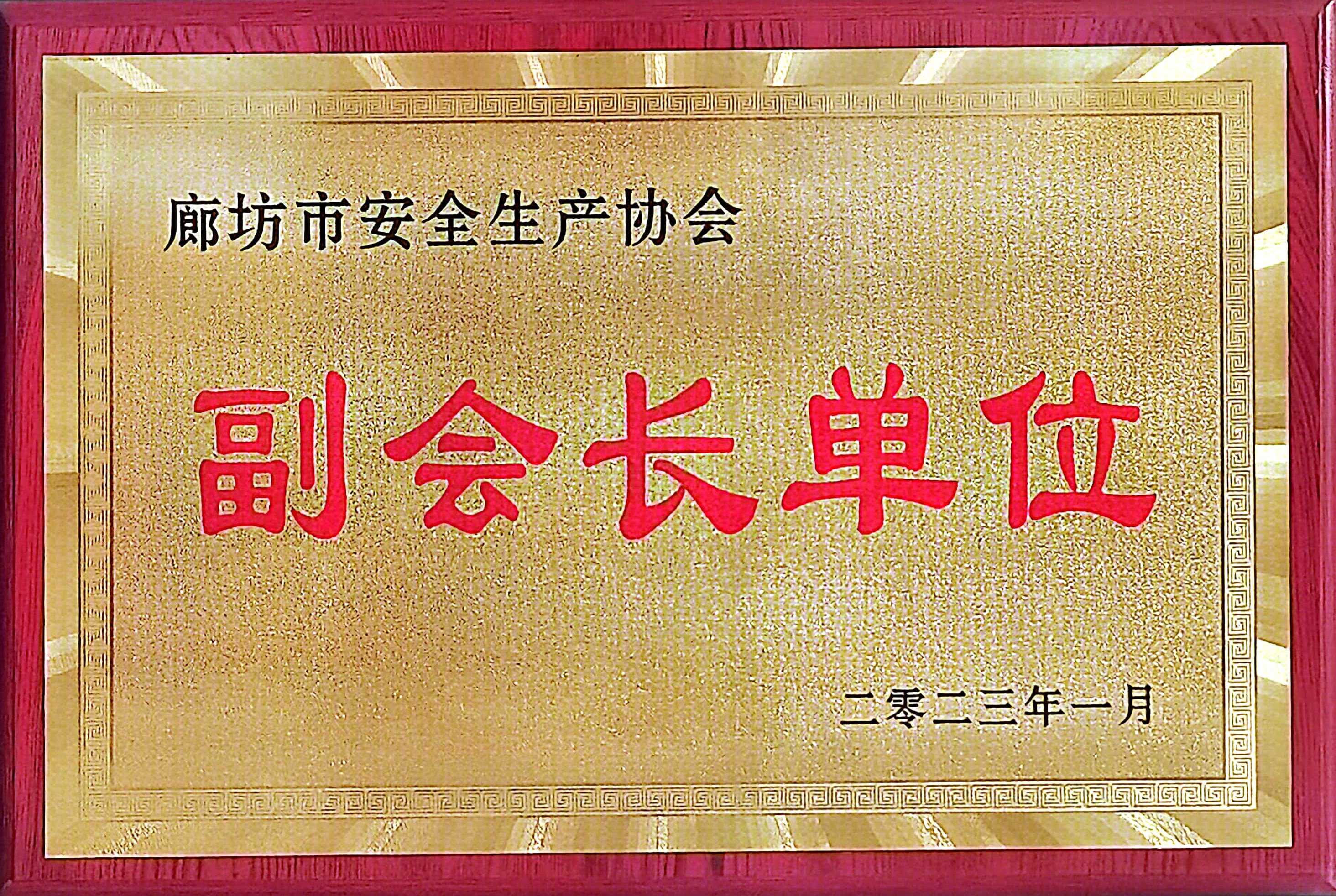 廊坊市安全生產(chǎn)協(xié)會(huì)副會(huì)長單位